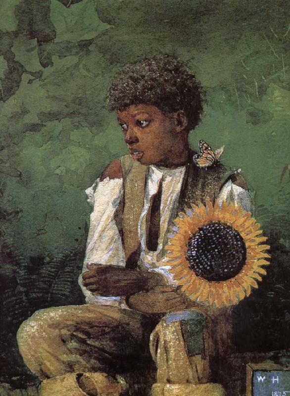 Dedicated to the teacher s sunflower, Winslow Homer